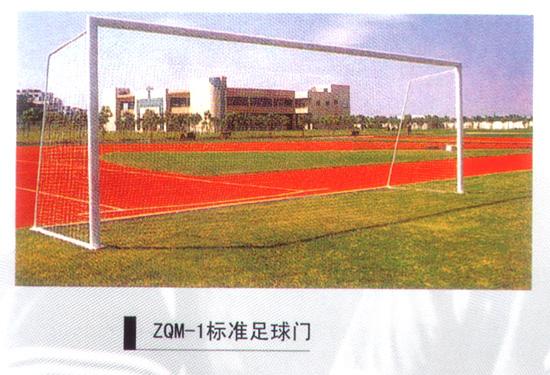 標(biāo)準(zhǔn)足球門
